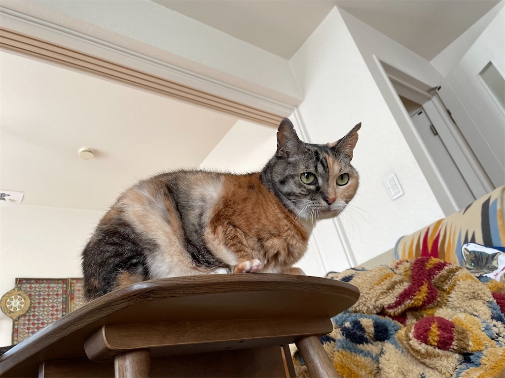 f:id:hiraryo0201:20211213073655j:image f:id:hiraryo0201:20211213073655j:image