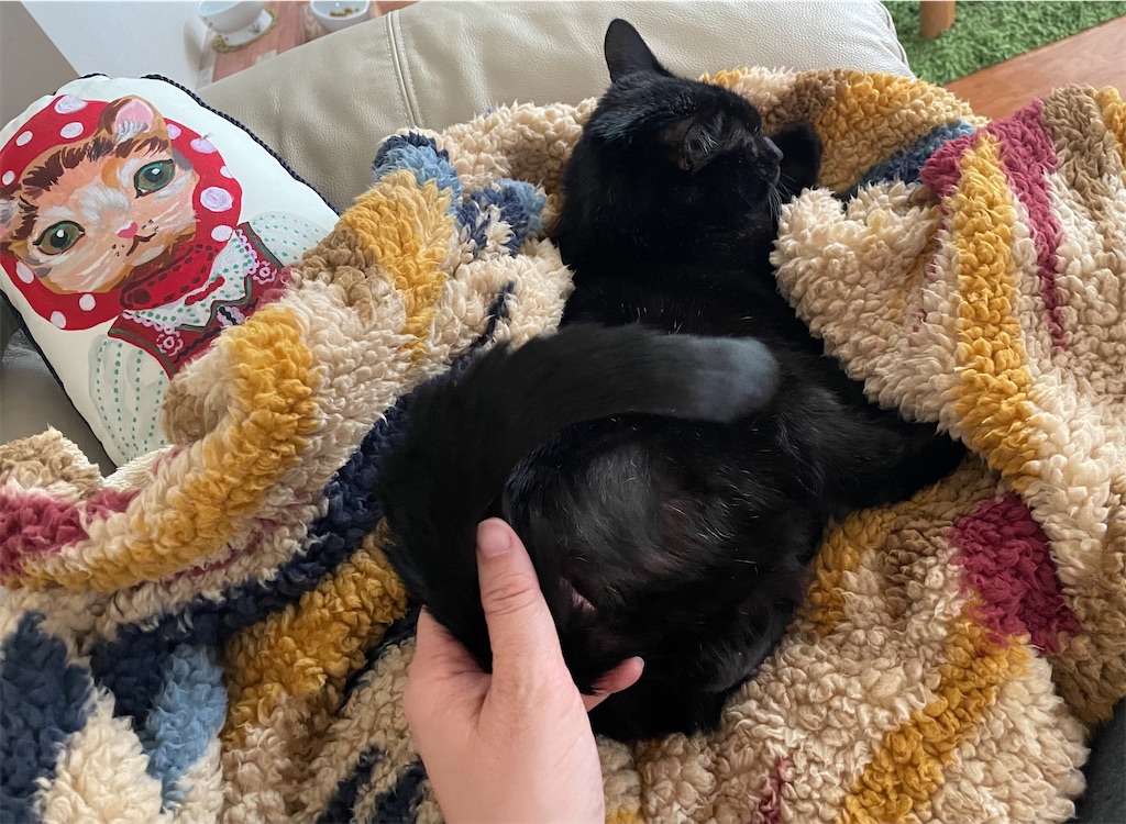 f:id:hiraryo0201:20211225142432j:image f:id:hiraryo0201:20211225142432j:image