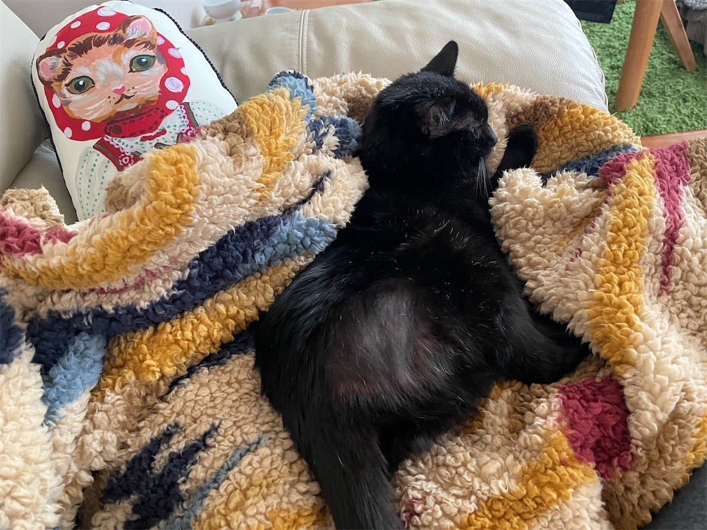 f:id:hiraryo0201:20211225142438j:image f:id:hiraryo0201:20211225142438j:image