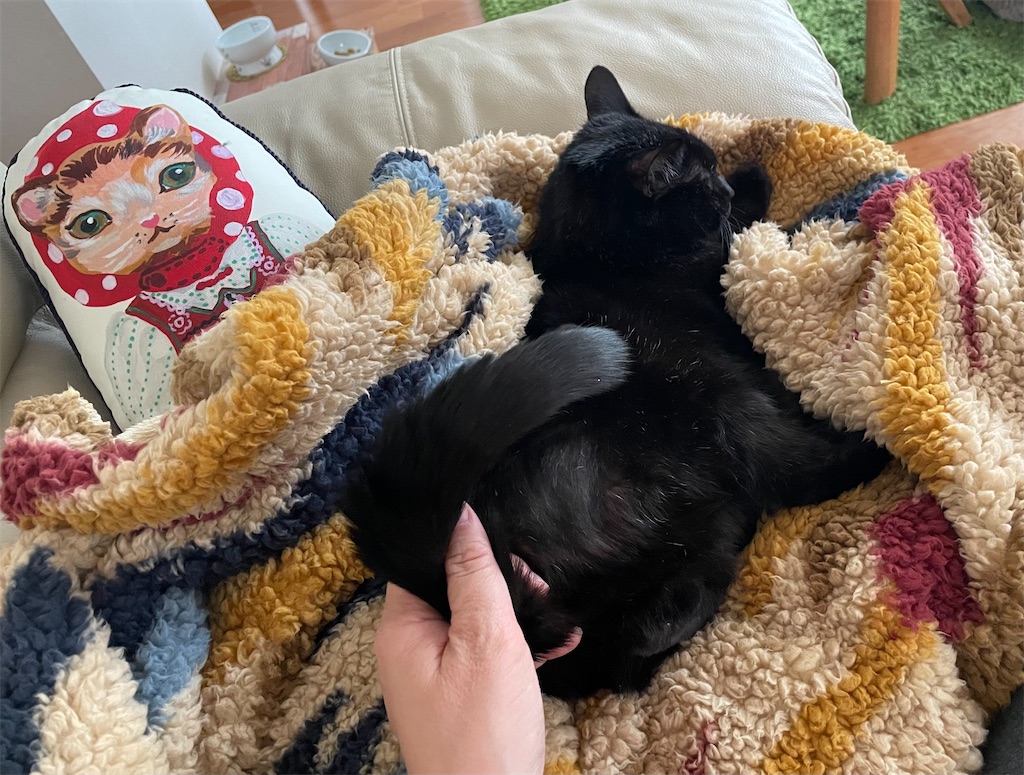 f:id:hiraryo0201:20211225142441j:image f:id:hiraryo0201:20211225142441j:image