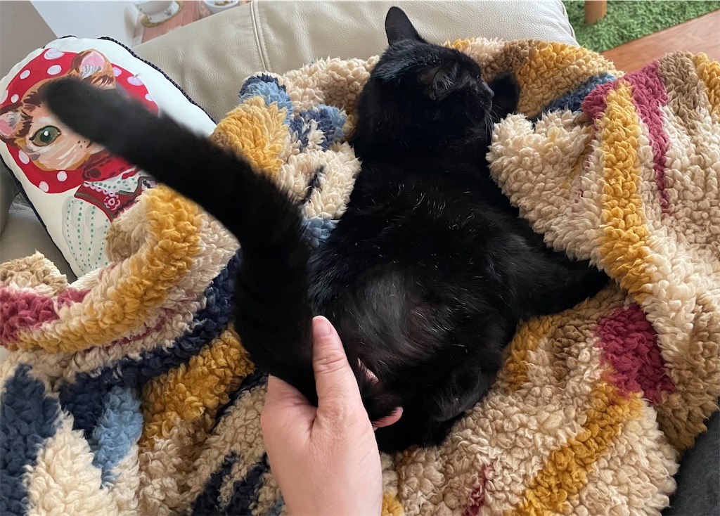 f:id:hiraryo0201:20211225142446j:image f:id:hiraryo0201:20211225142446j:image