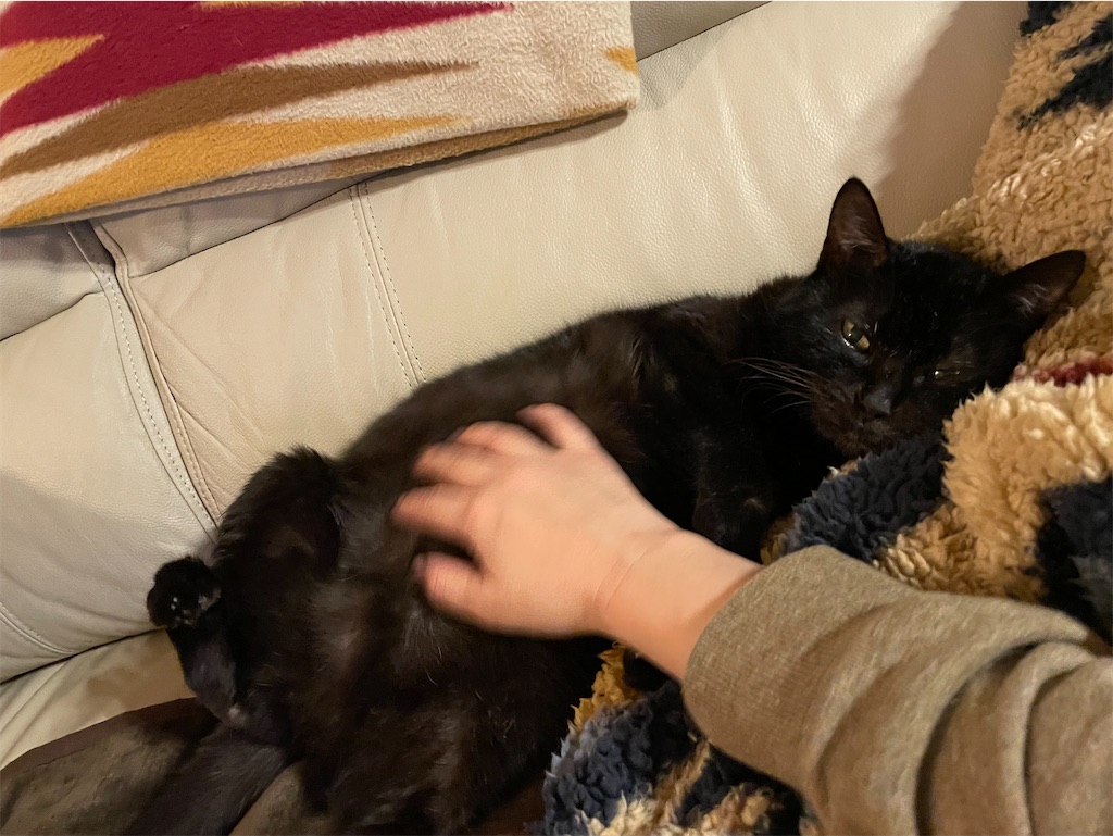 f:id:hiraryo0201:20211226120037j:image