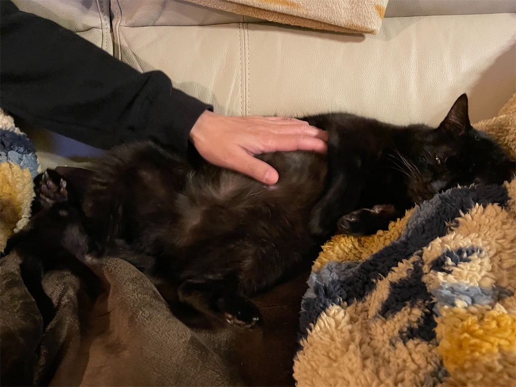 f:id:hiraryo0201:20211226120042j:image