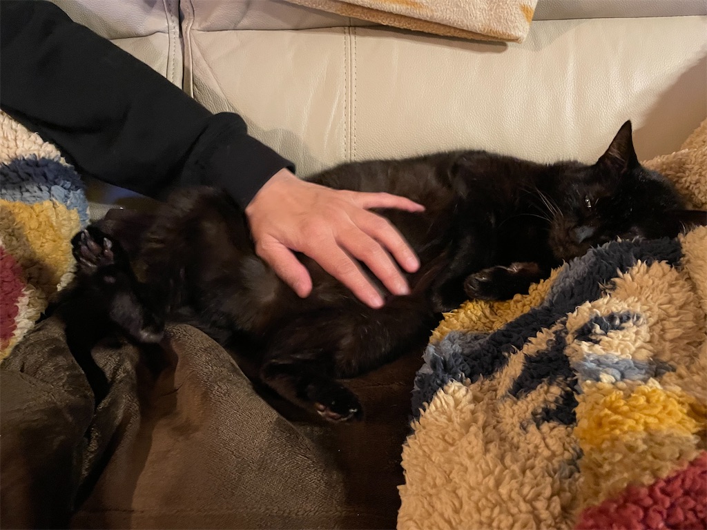 f:id:hiraryo0201:20211226120045j:image