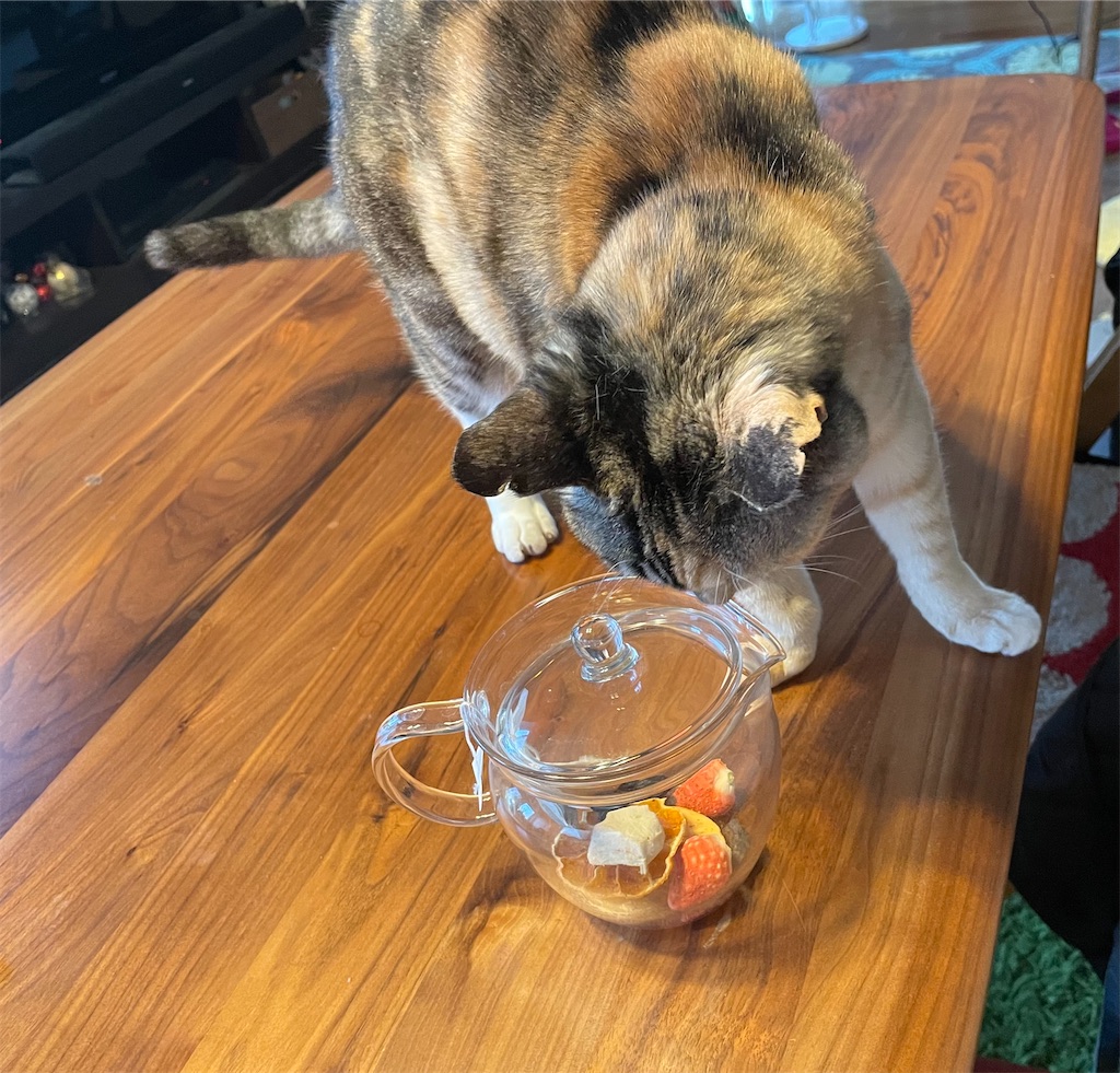 f:id:hiraryo0201:20211229204820j:image f:id:hiraryo0201:20211229204820j:image