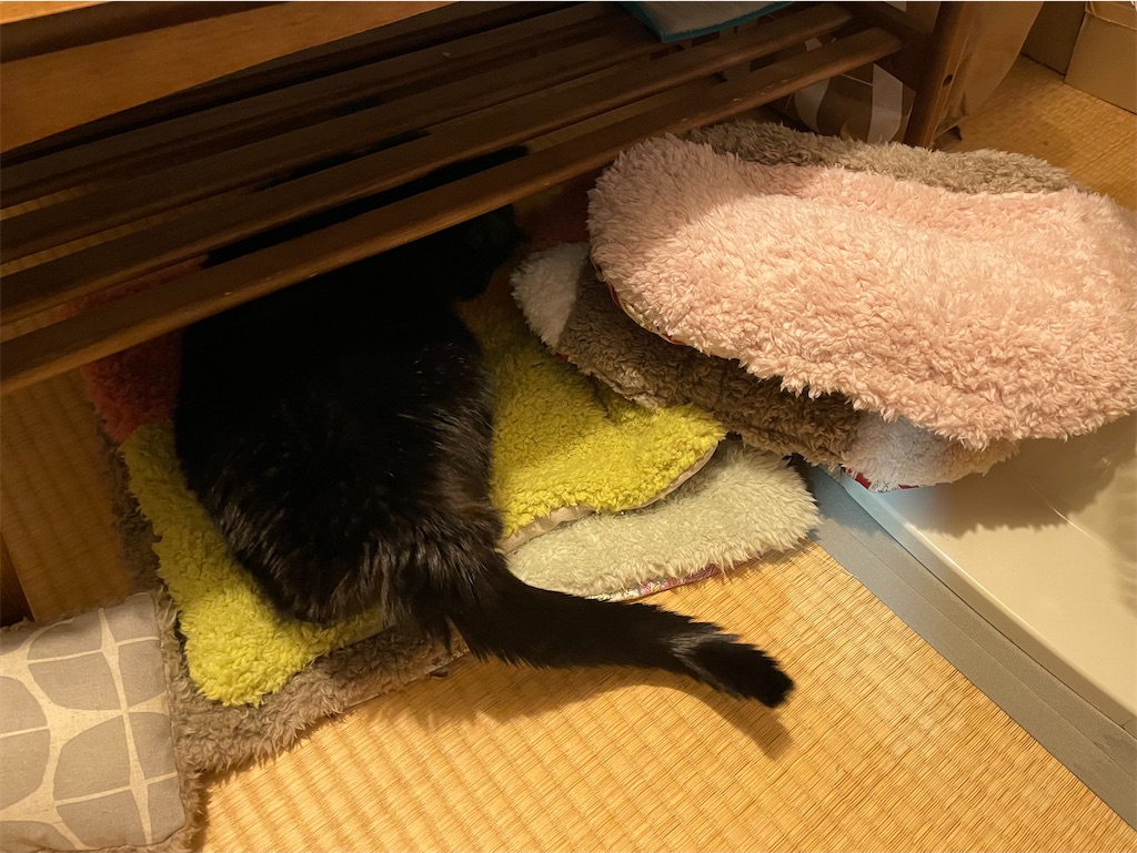 f:id:hiraryo0201:20211229205204j:image f:id:hiraryo0201:20211229205204j:image