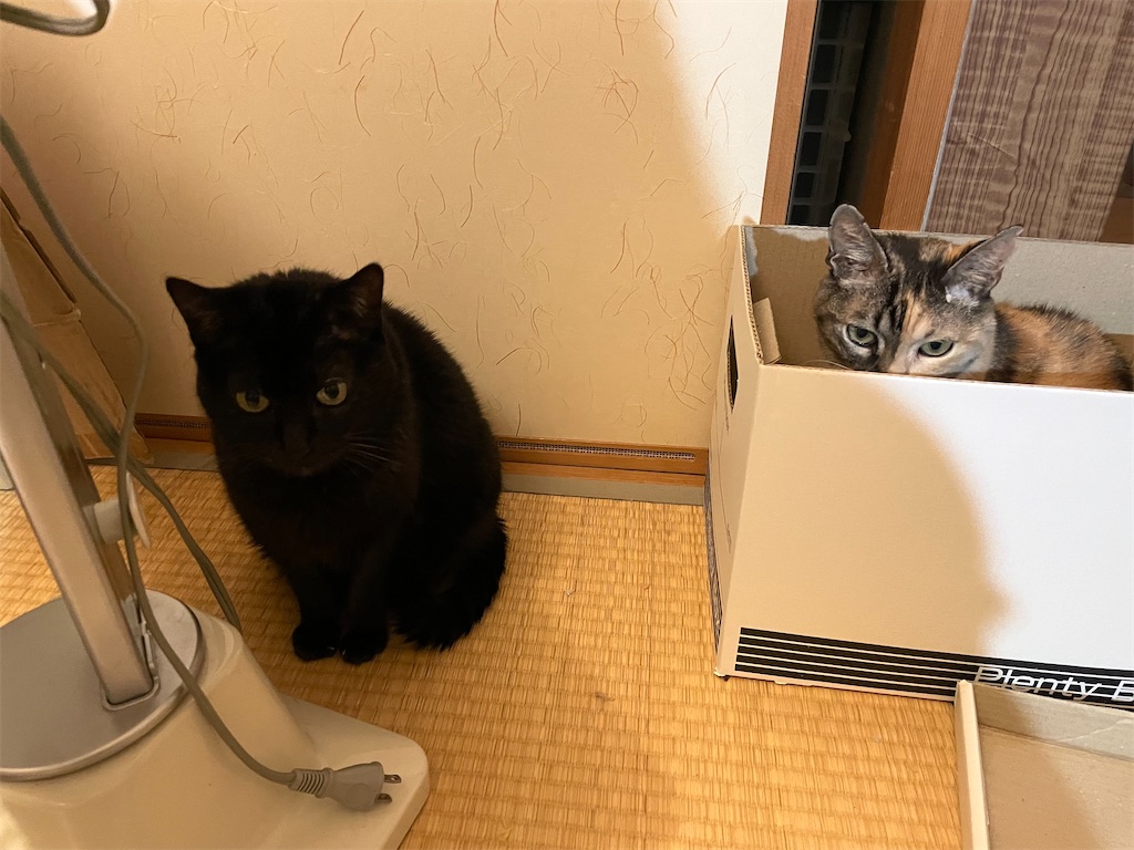 f:id:hiraryo0201:20211229205206j:image f:id:hiraryo0201:20211229205206j:image