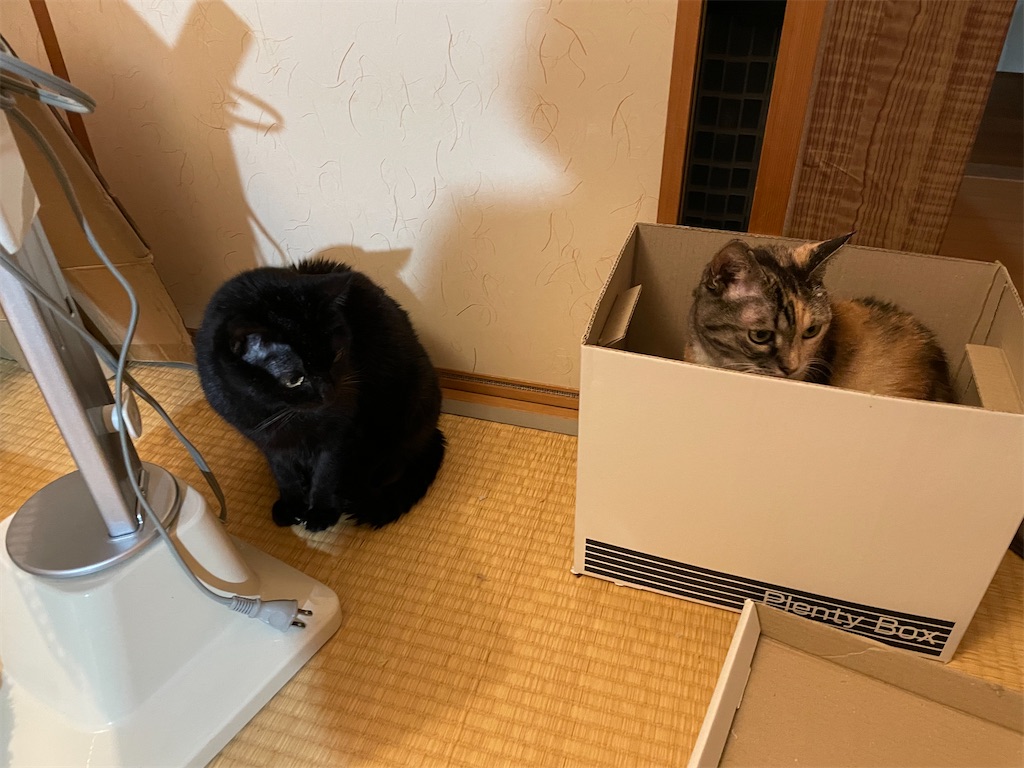 f:id:hiraryo0201:20211229205218j:image f:id:hiraryo0201:20211229205218j:image