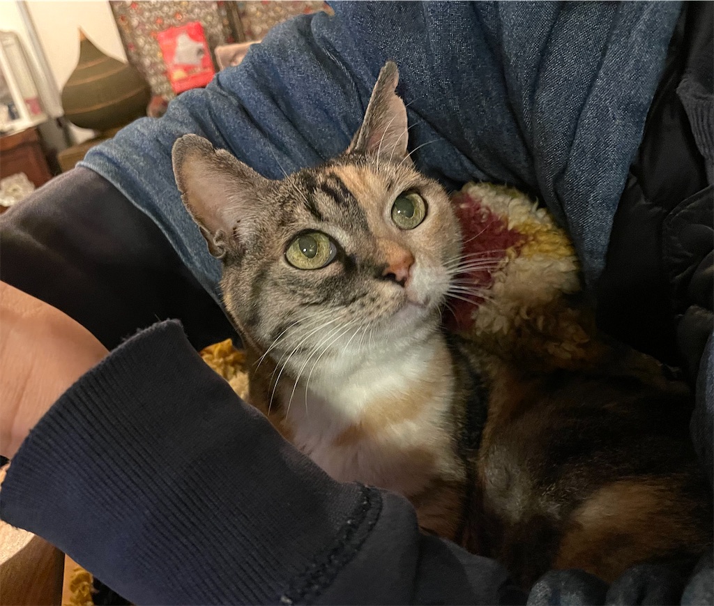 f:id:hiraryo0201:20211229205224j:image f:id:hiraryo0201:20211229205224j:image