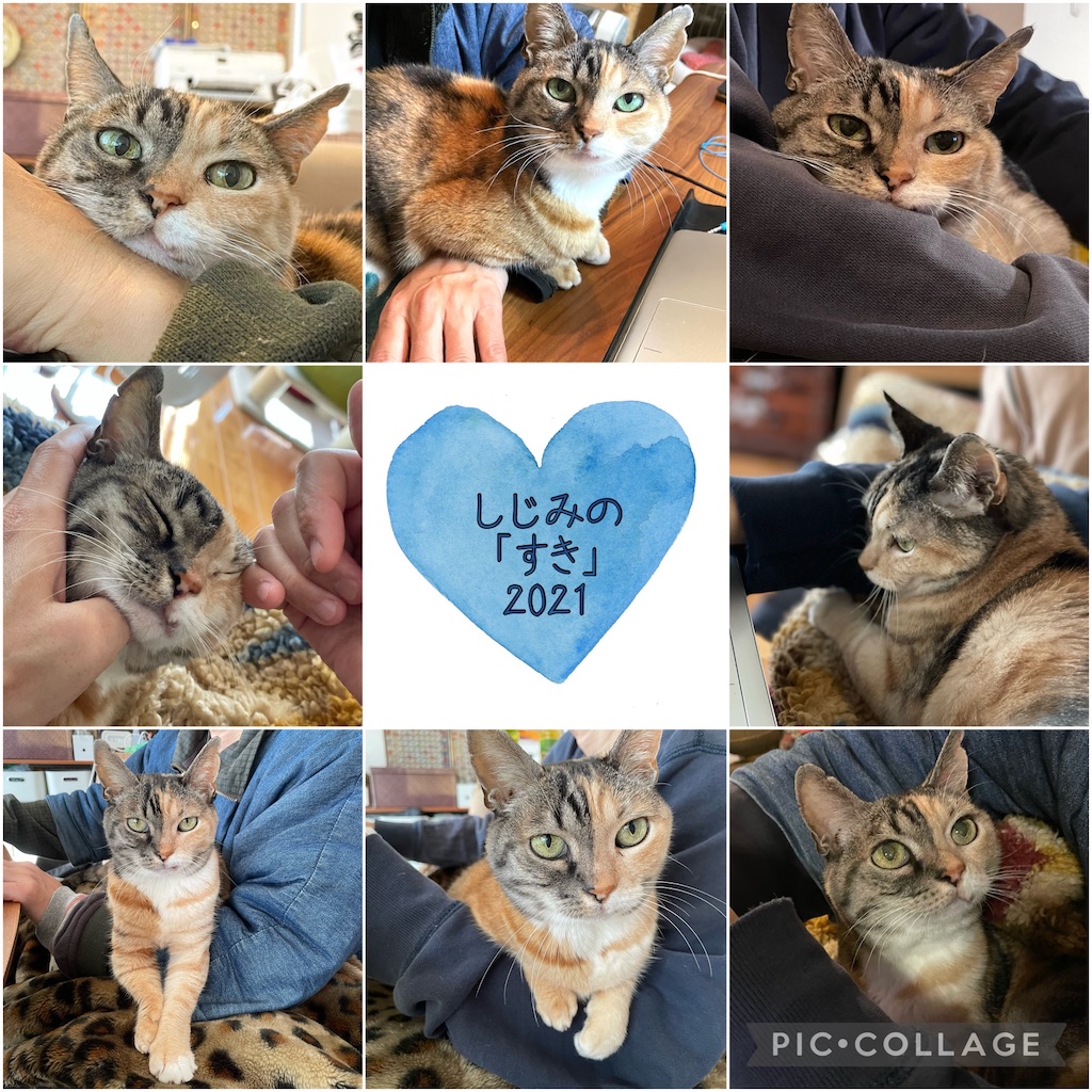 f:id:hiraryo0201:20211231161453j:image f:id:hiraryo0201:20211231161453j:image