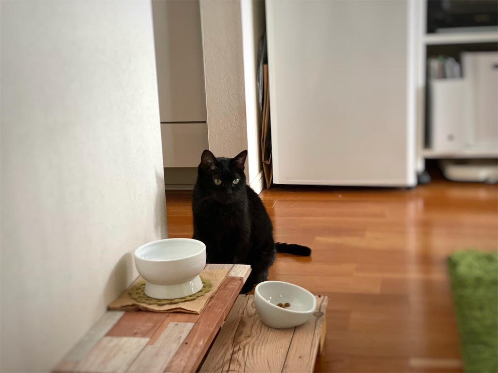 f:id:hiraryo0201:20211231194732j:image