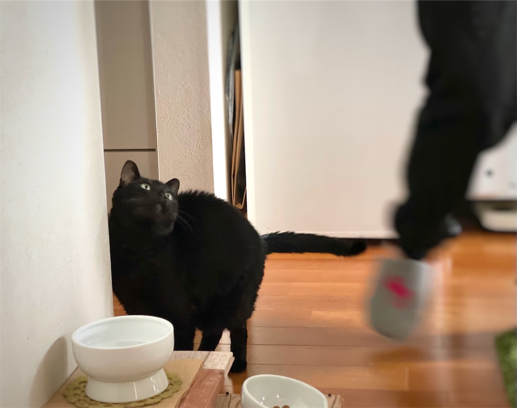 f:id:hiraryo0201:20211231194745j:image