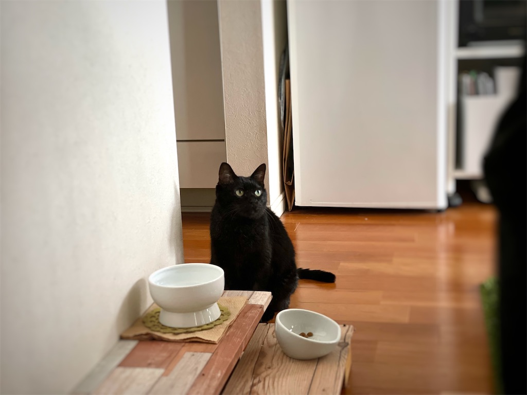 f:id:hiraryo0201:20211231194748j:image