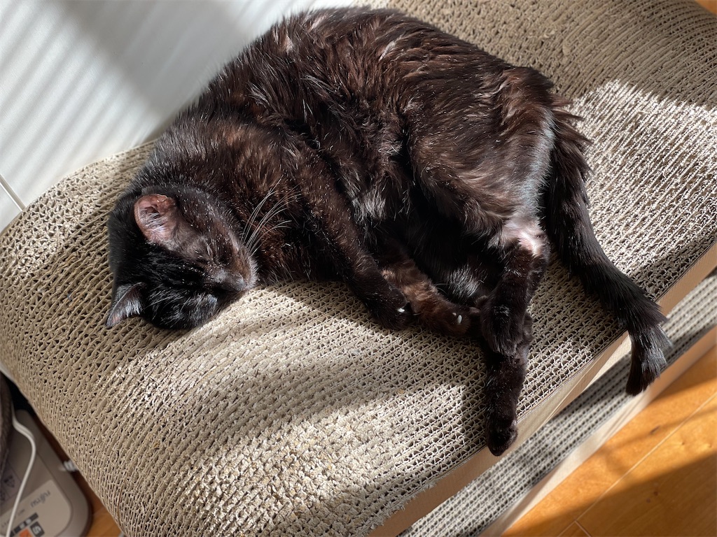 f:id:hiraryo0201:20220103095733j:image