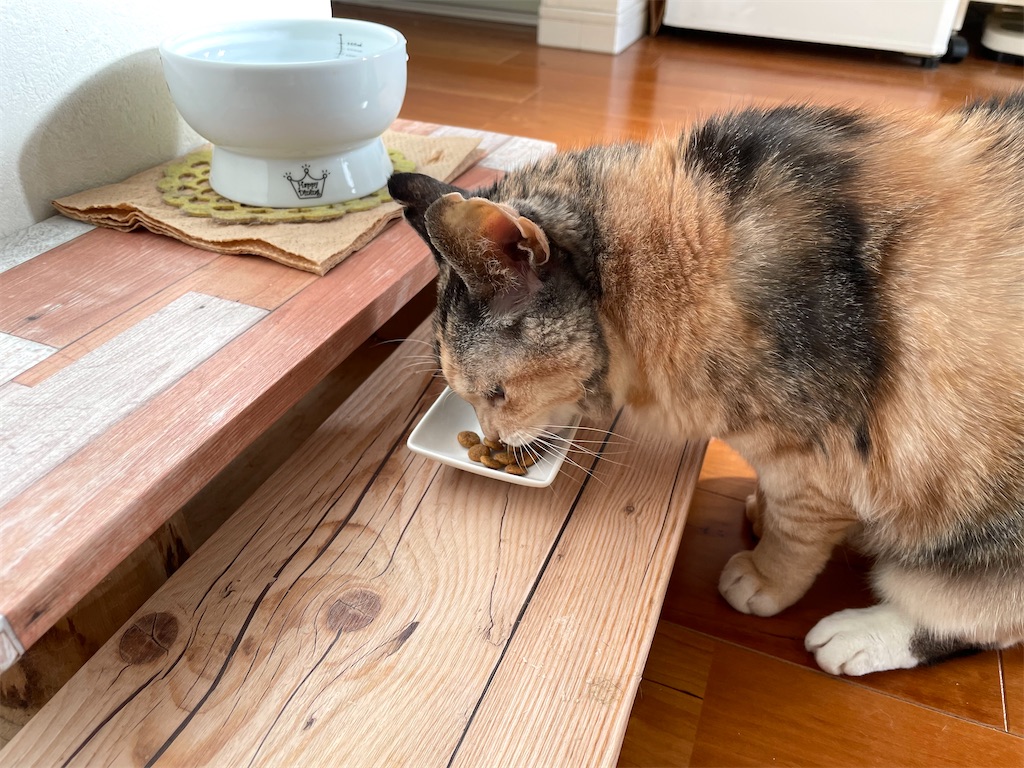 f:id:hiraryo0201:20220103111803j:image f:id:hiraryo0201:20220103111803j:image