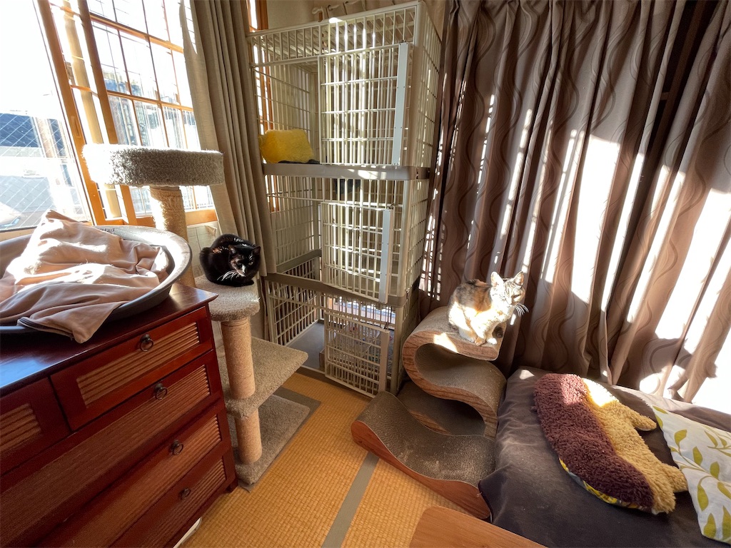 f:id:hiraryo0201:20220105165359j:image