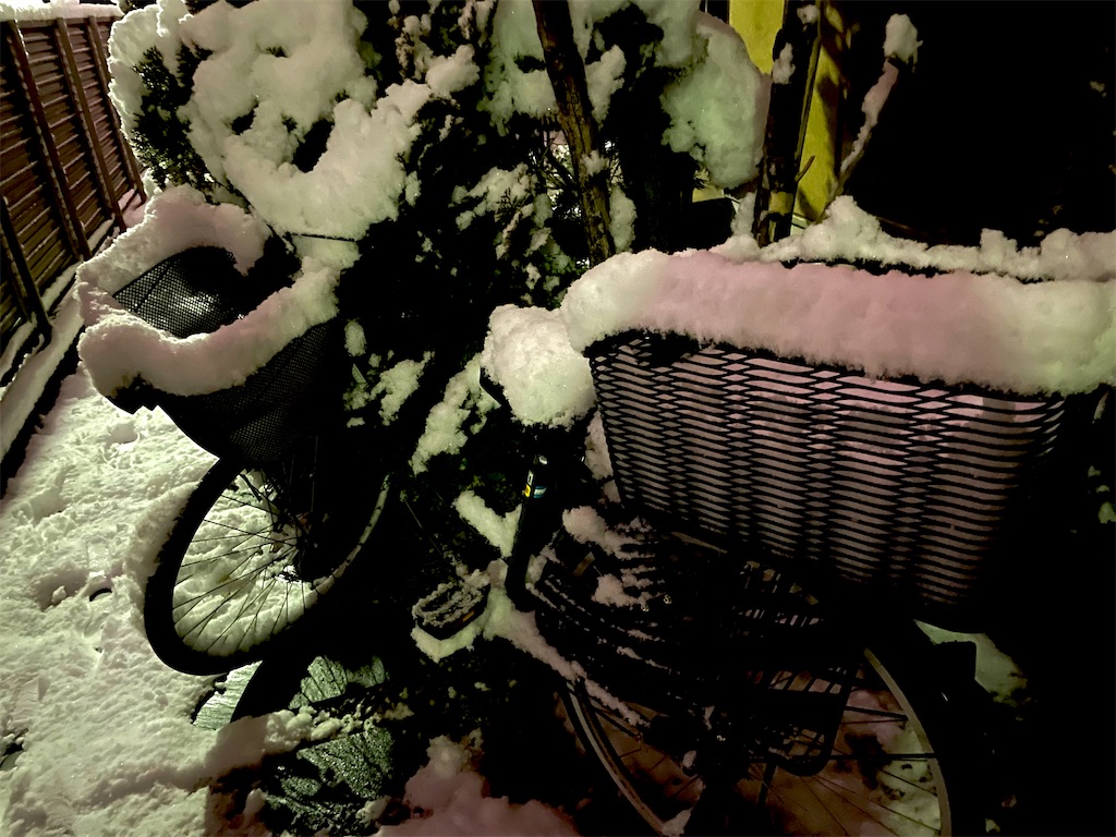 f:id:hiraryo0201:20220107000635j:image