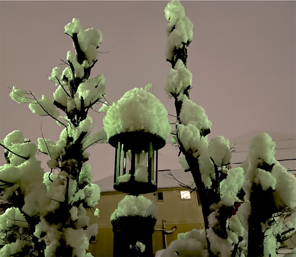 f:id:hiraryo0201:20220107000637j:image