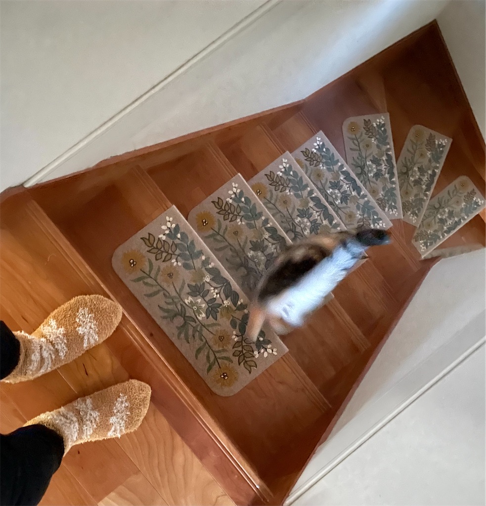 f:id:hiraryo0201:20220112211443j:image