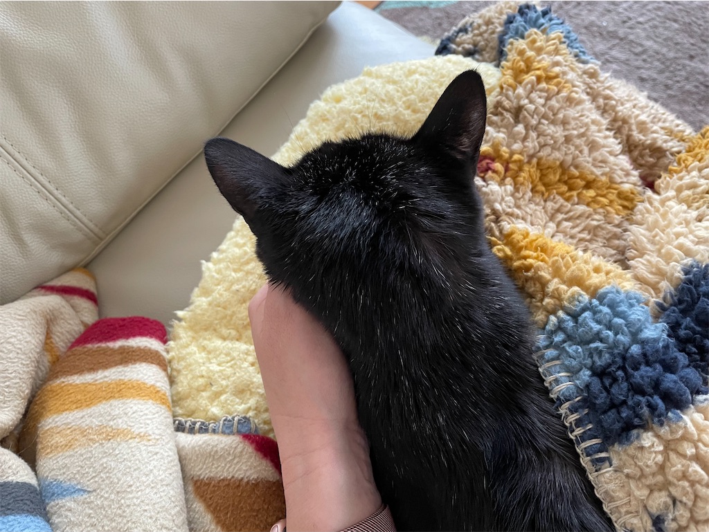 f:id:hiraryo0201:20220129190159j:image f:id:hiraryo0201:20220129190159j:image