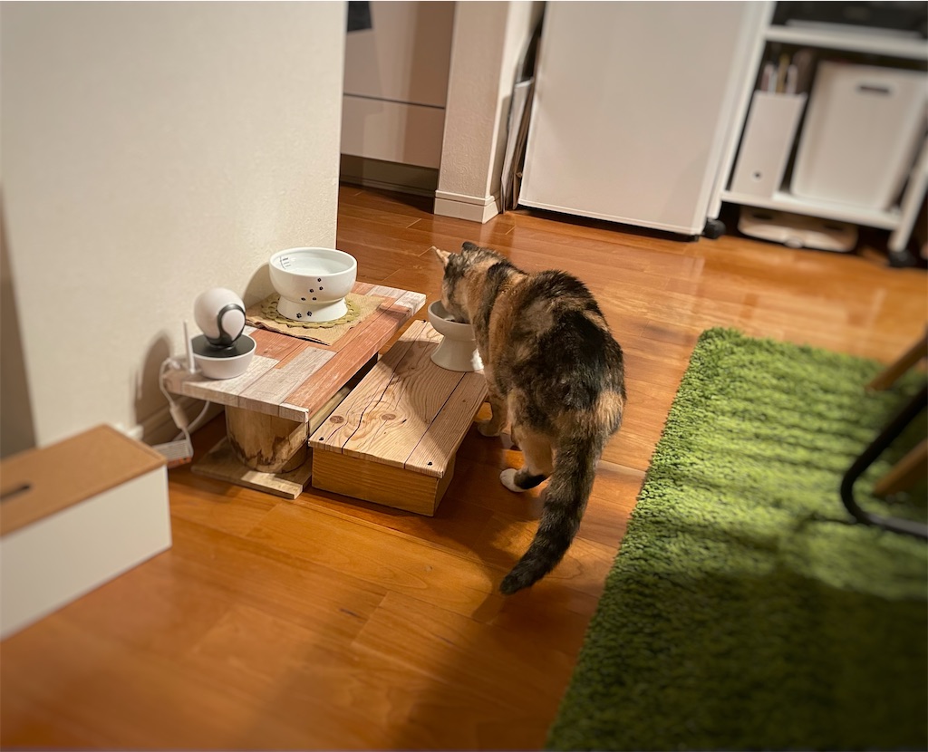 f:id:hiraryo0201:20220129190714j:image f:id:hiraryo0201:20220129190714j:image