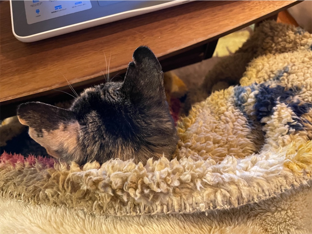 f:id:hiraryo0201:20220129191526j:image f:id:hiraryo0201:20220129191526j:image