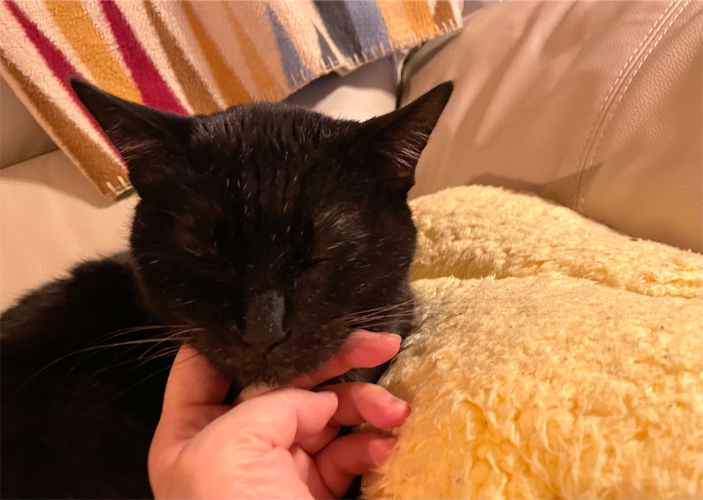 f:id:hiraryo0201:20220130115450j:image