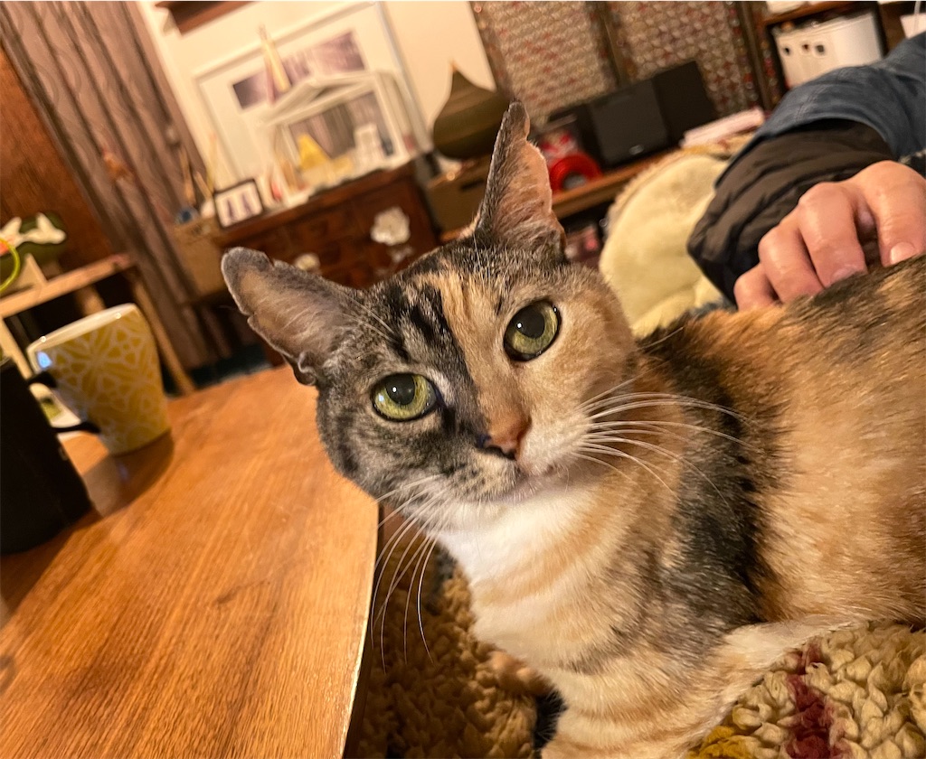 f:id:hiraryo0201:20220130115531j:image