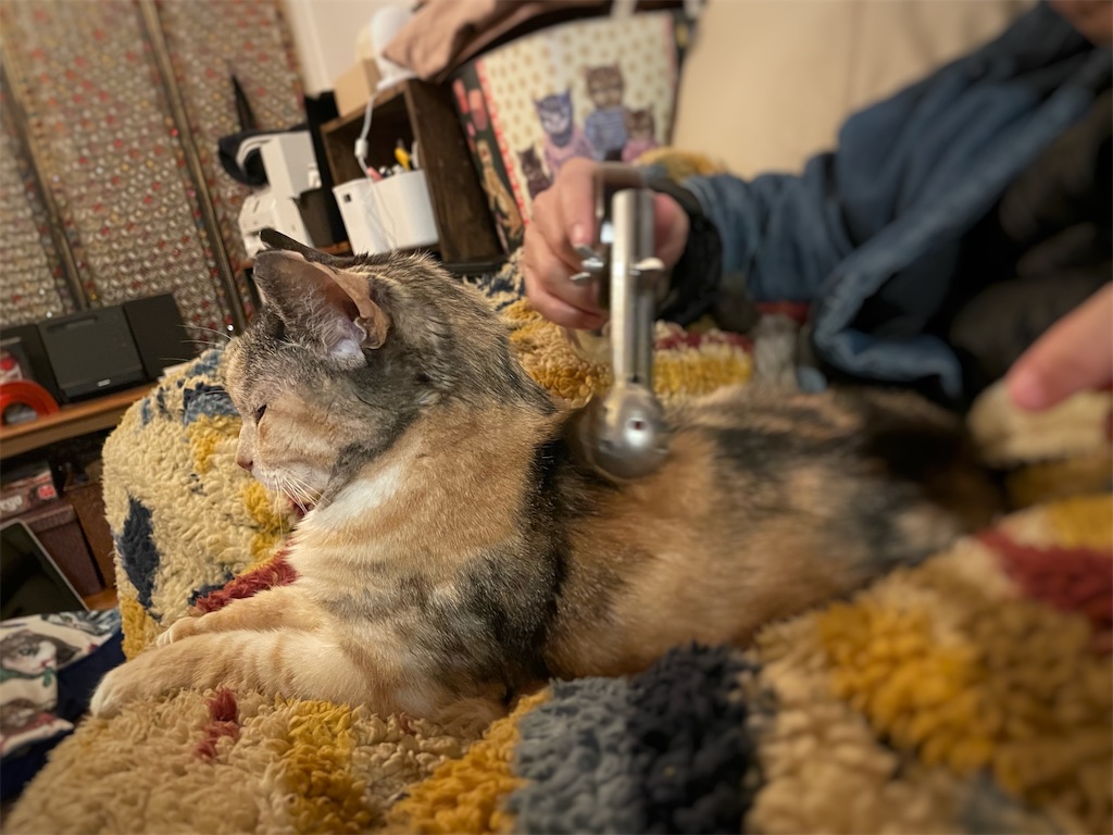 f:id:hiraryo0201:20220130115538j:image f:id:hiraryo0201:20220130115538j:image