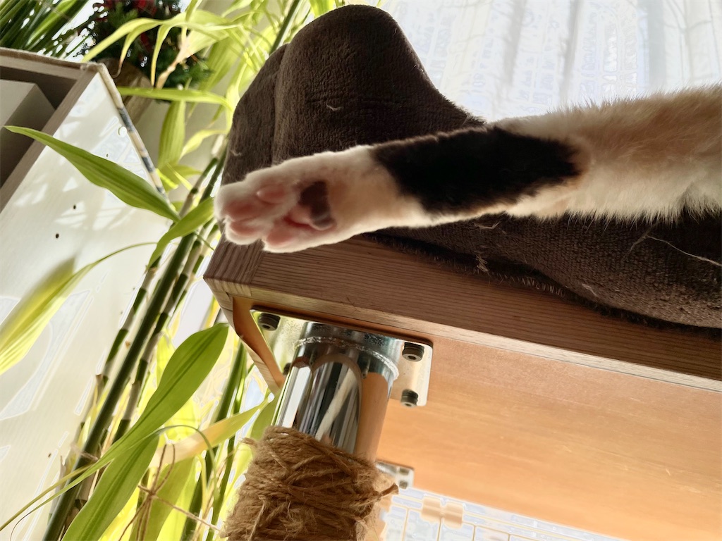 f:id:hiraryo0201:20220202135505j:image