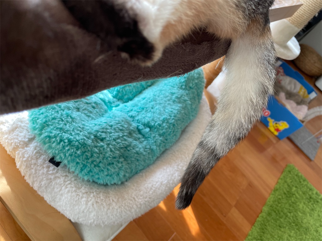 f:id:hiraryo0201:20220202135510j:image