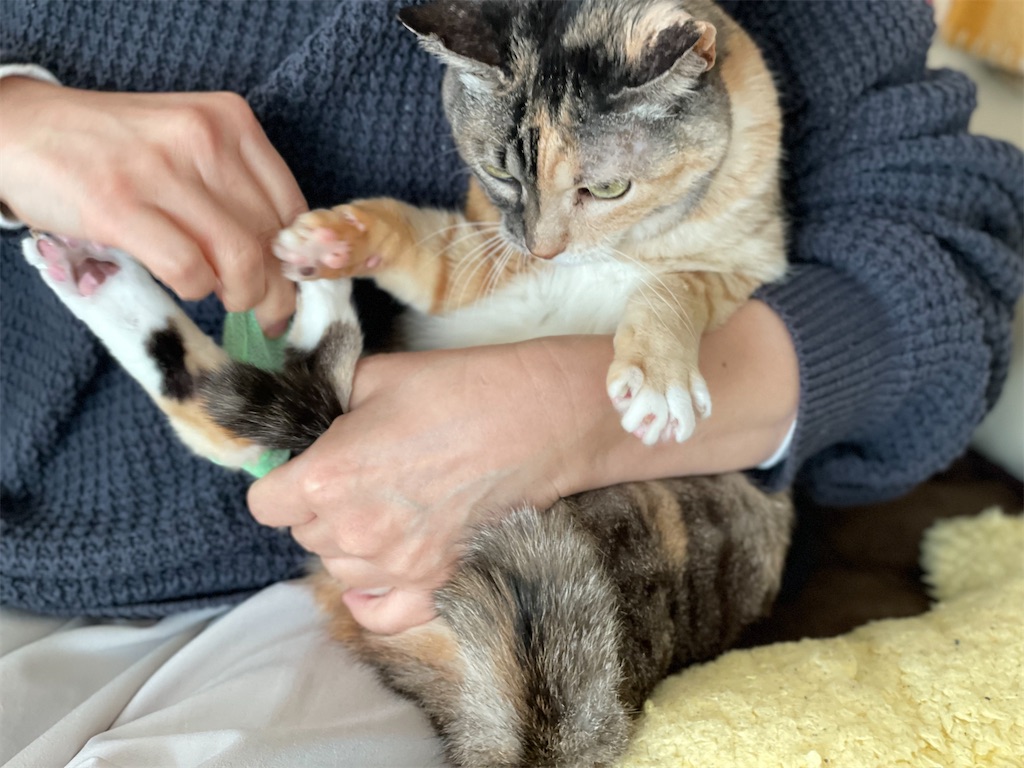 f:id:hiraryo0201:20220205194936j:image f:id:hiraryo0201:20220205194936j:image