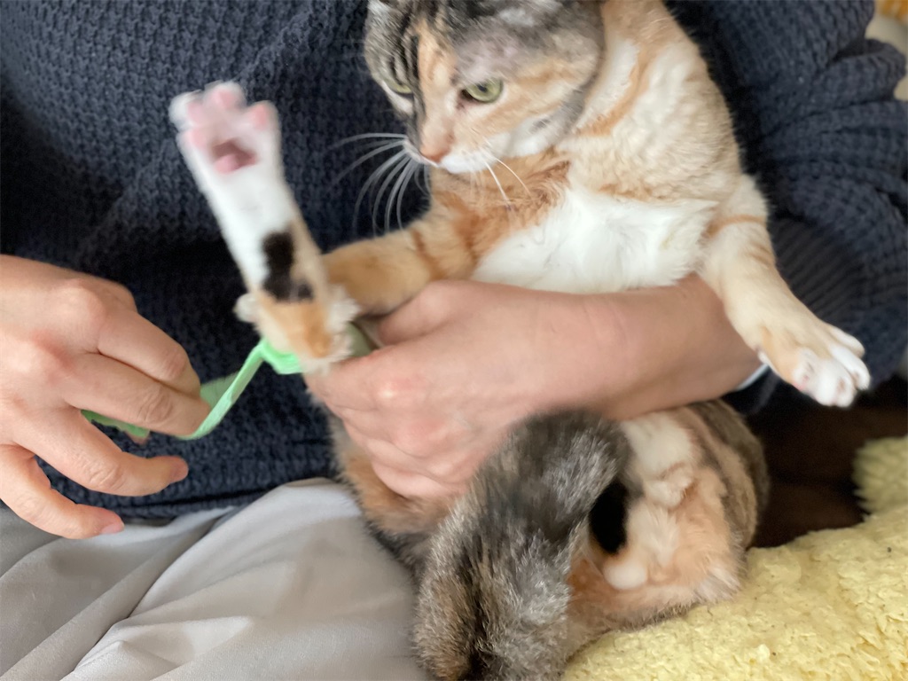 f:id:hiraryo0201:20220205194941j:image f:id:hiraryo0201:20220205194941j:image