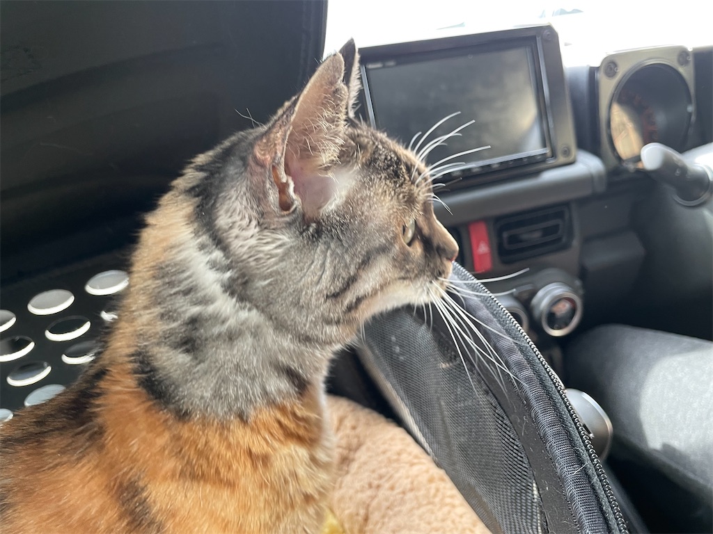 f:id:hiraryo0201:20220205194944j:image f:id:hiraryo0201:20220205194944j:image