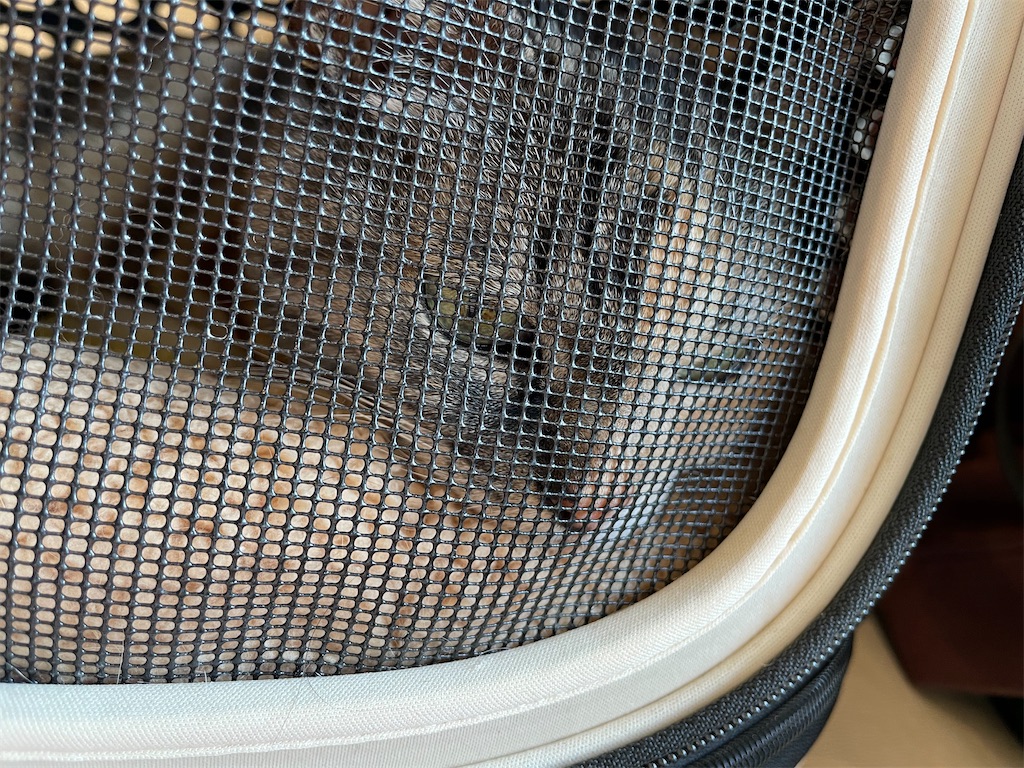 f:id:hiraryo0201:20220205194946j:image