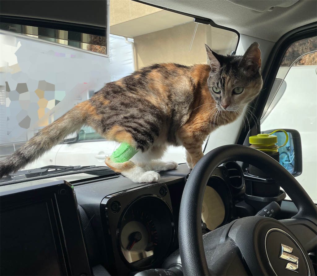 f:id:hiraryo0201:20220205200649p:image f:id:hiraryo0201:20220205200649p:image