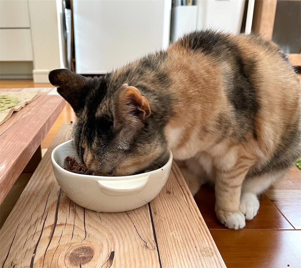 f:id:hiraryo0201:20220205200857j:image