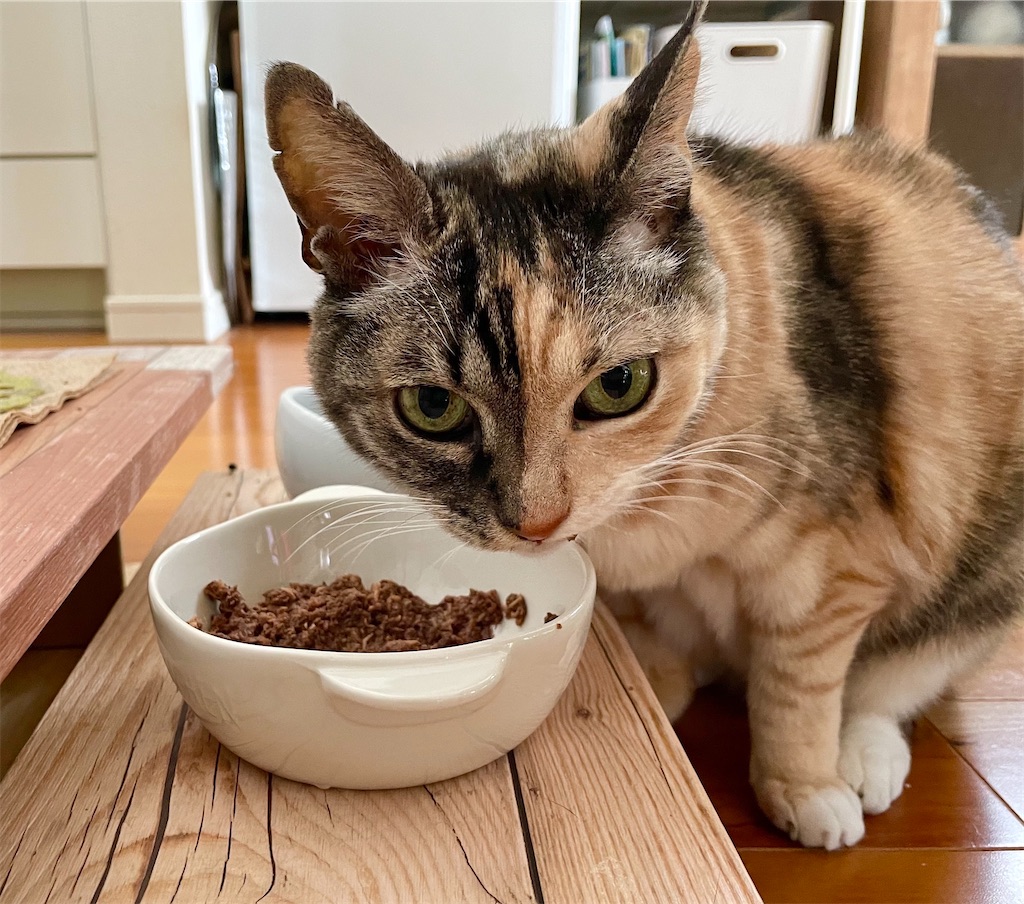 f:id:hiraryo0201:20220205200859j:image