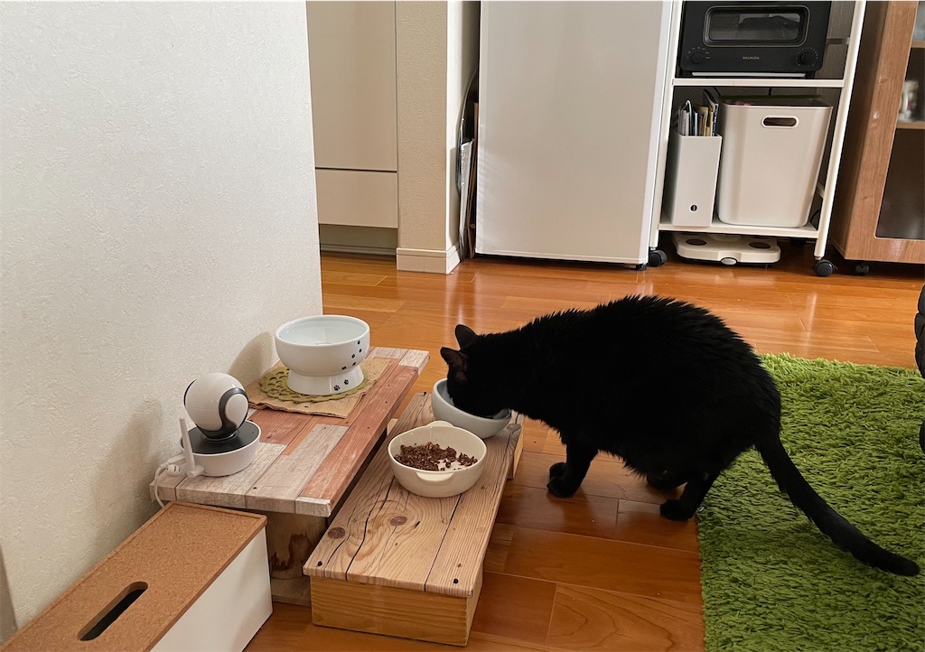 f:id:hiraryo0201:20220205200902j:image f:id:hiraryo0201:20220205200902j:image