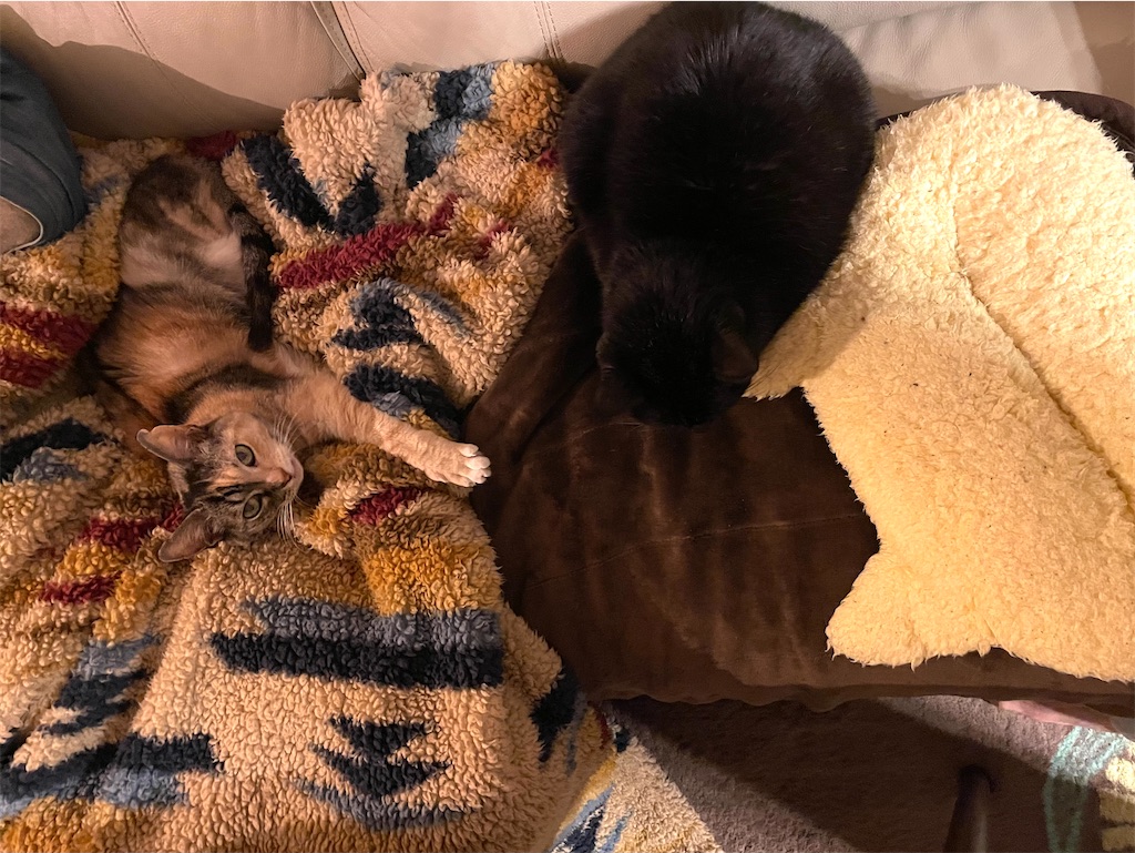 f:id:hiraryo0201:20220206150507j:image