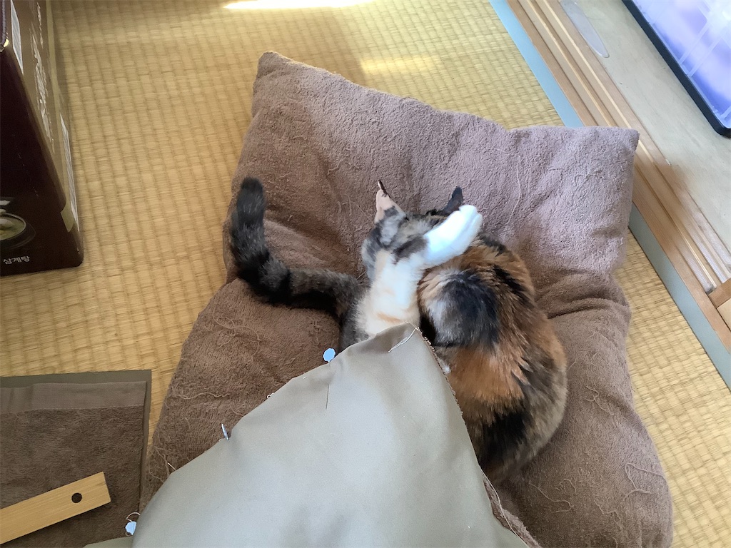 f:id:hiraryo0201:20220206150510j:image