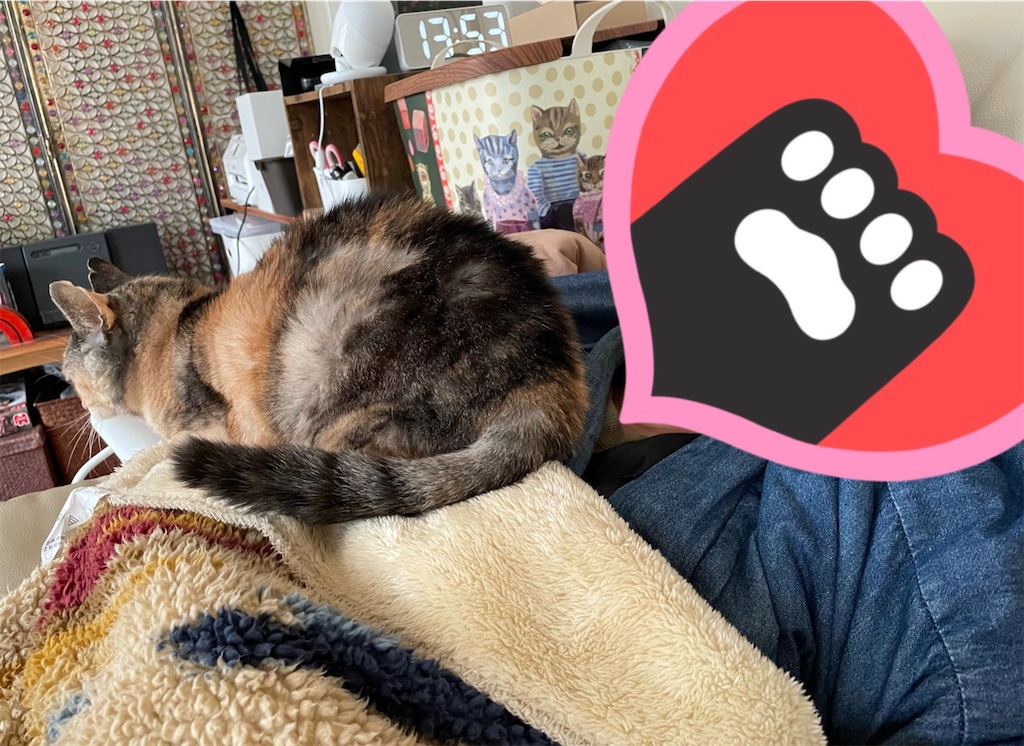 f:id:hiraryo0201:20220206150938j:image f:id:hiraryo0201:20220206150938j:image