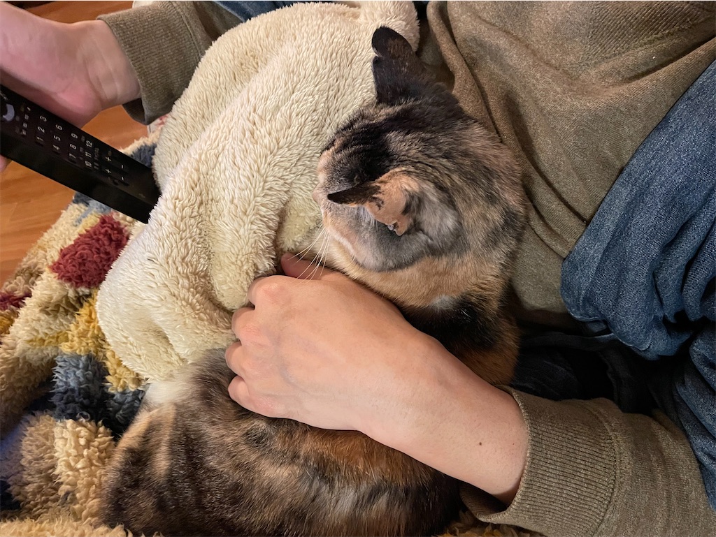 f:id:hiraryo0201:20220206210643j:image