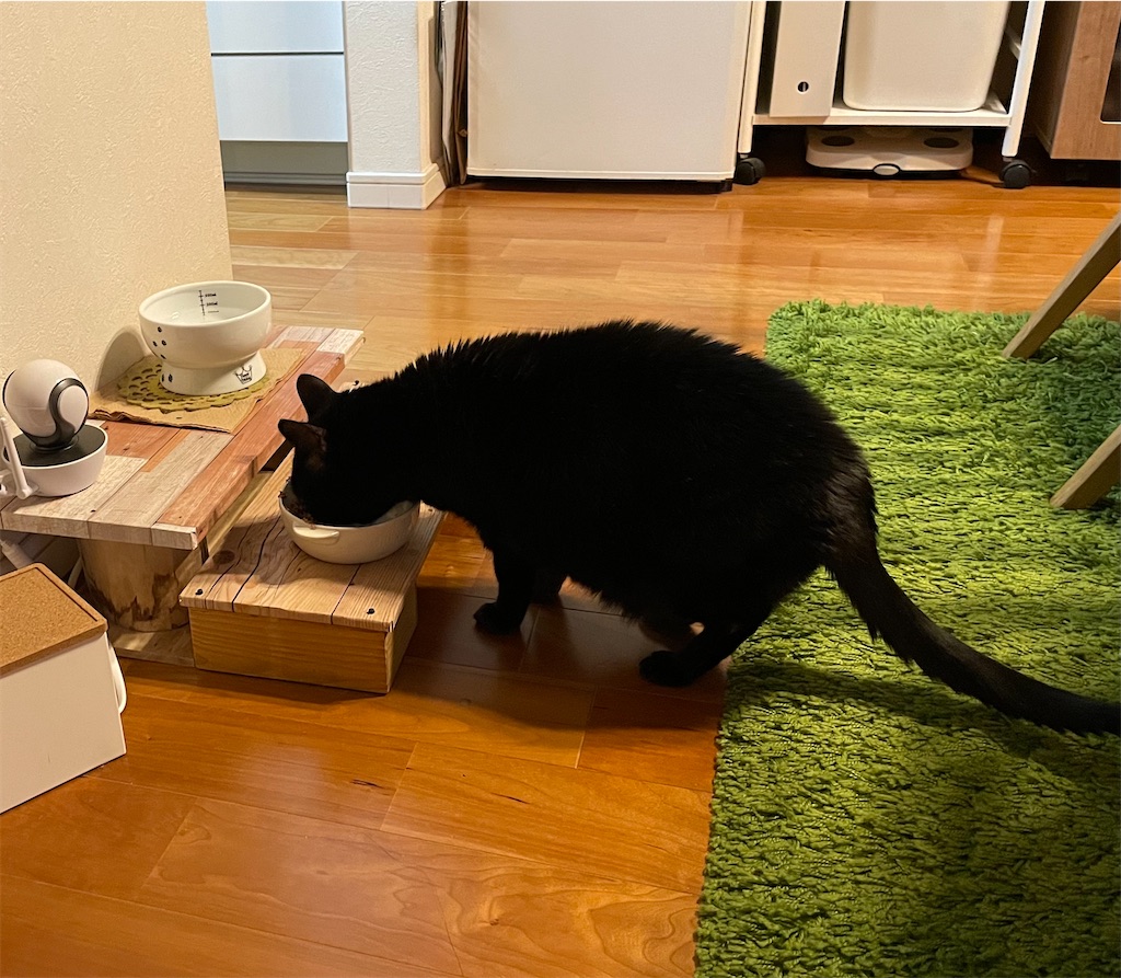 f:id:hiraryo0201:20220206210824j:image