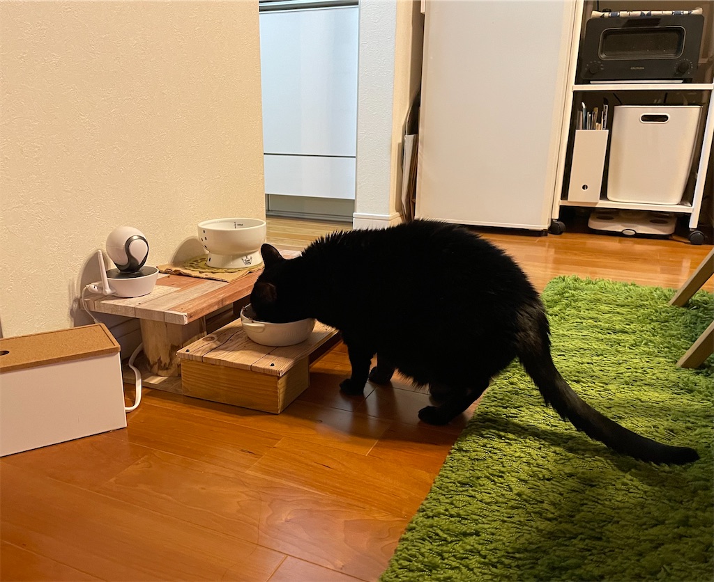 f:id:hiraryo0201:20220206210830j:image