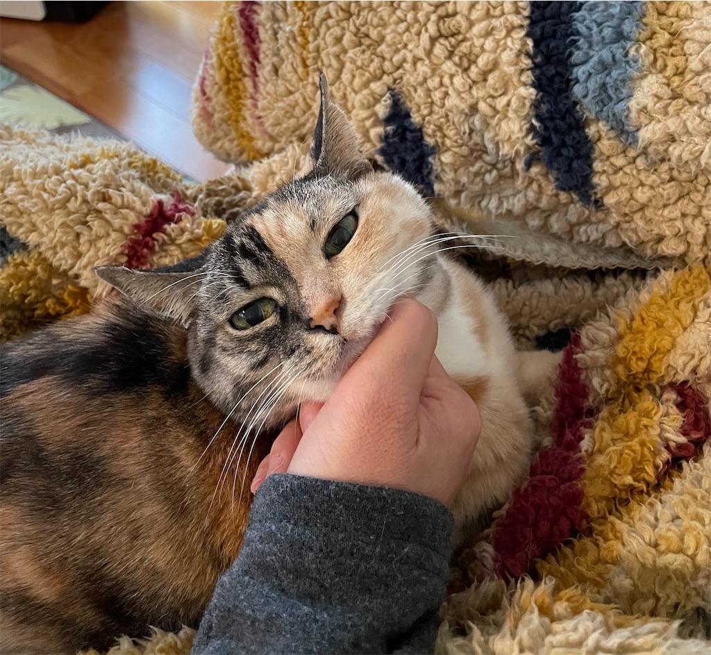 f:id:hiraryo0201:20220312160847j:image