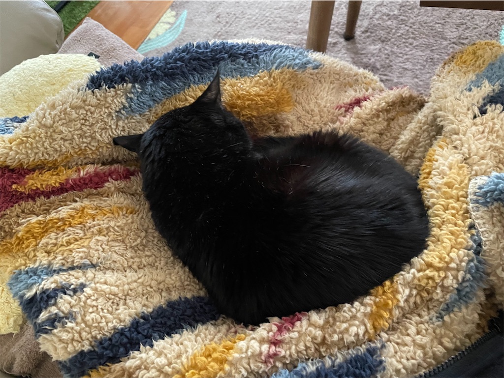 f:id:hiraryo0201:20220312160854j:image