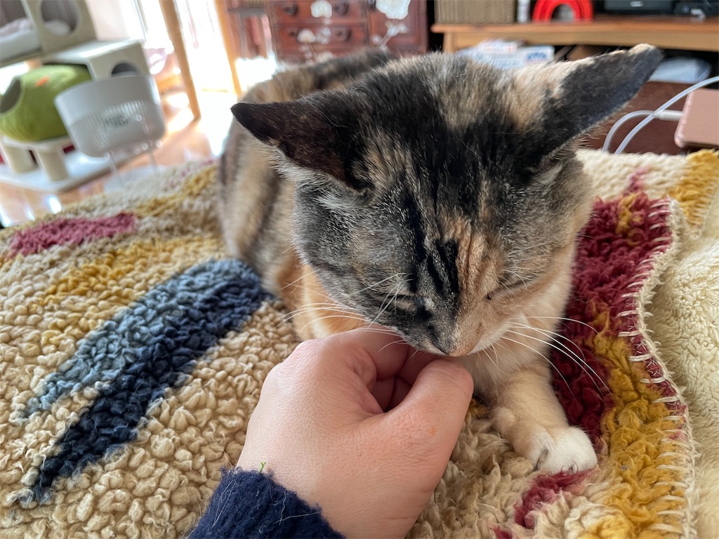 f:id:hiraryo0201:20220312172456j:image