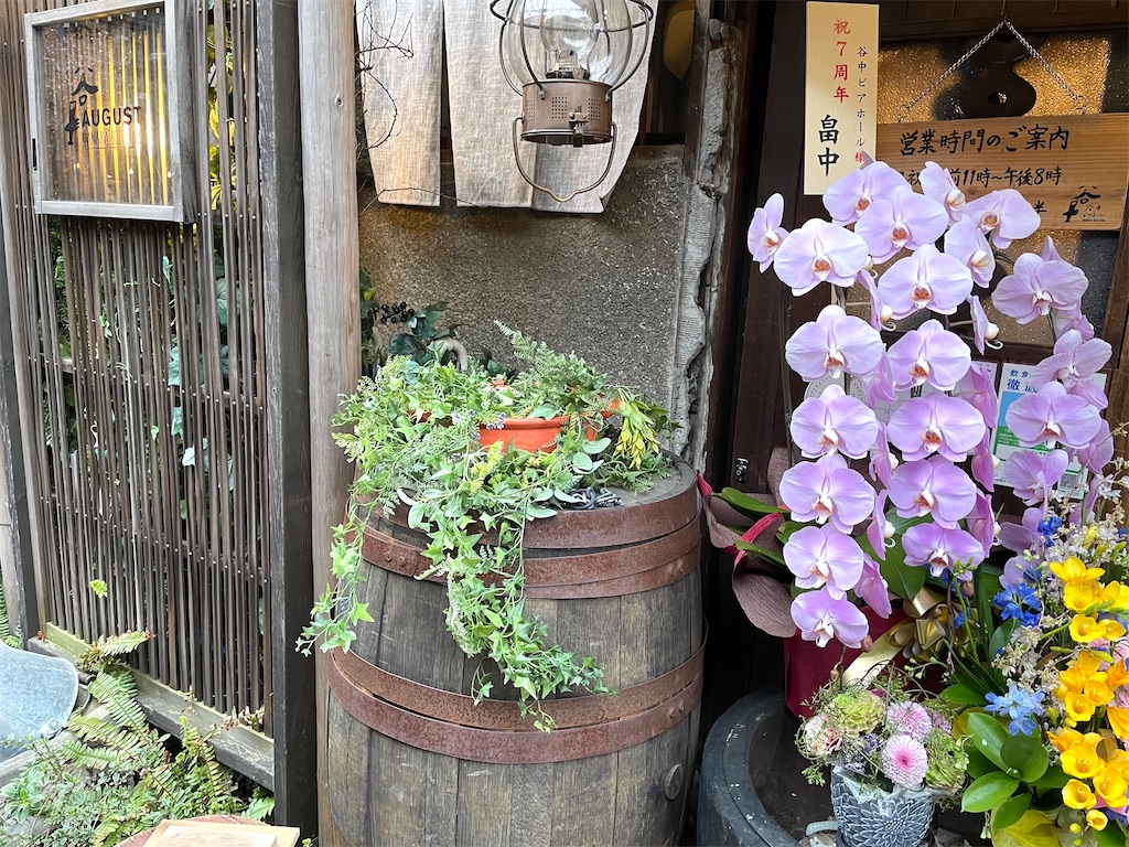 f:id:hiraryo0201:20220320162956j:image