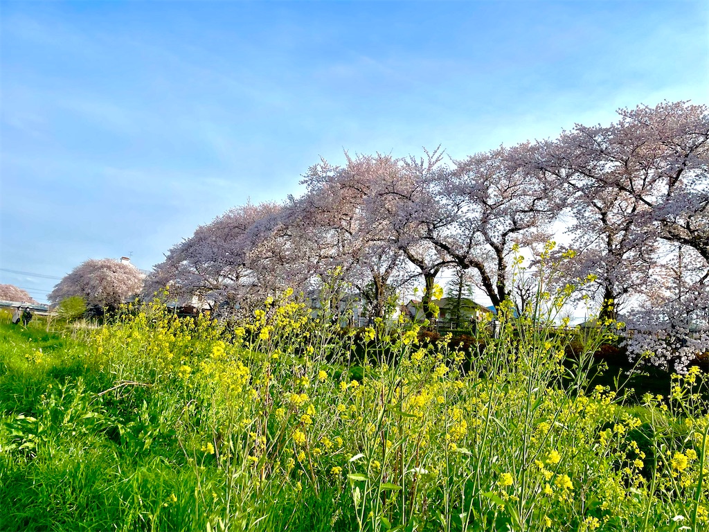 f:id:hiraryo0201:20220402181448j:image f:id:hiraryo0201:20220402181448j:image